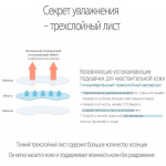 orig(6)1