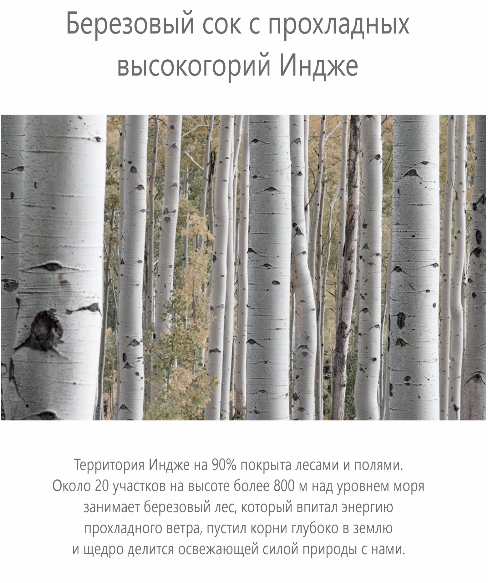 stick3